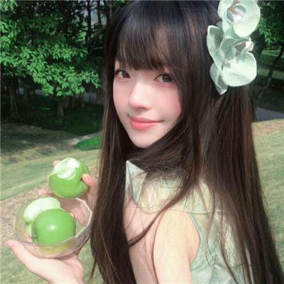 义胆骑士
